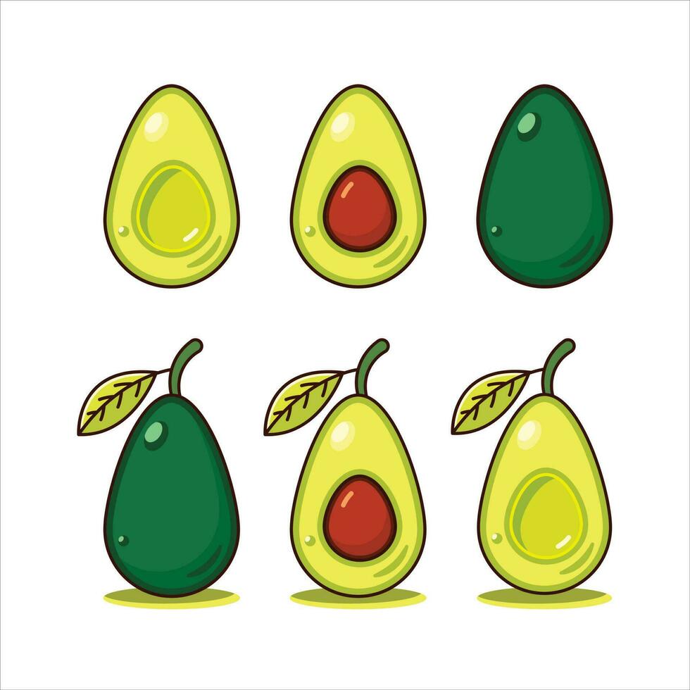 Fresh vector avocado illustration on white background