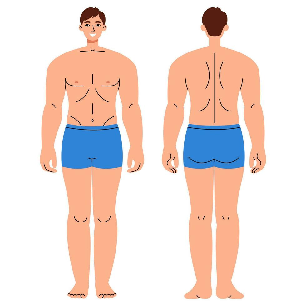 Figure man in underpants from front and back view. Flat illustration isolated on white. vector