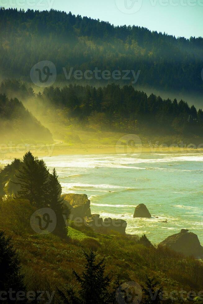 California Pacific Coast photo