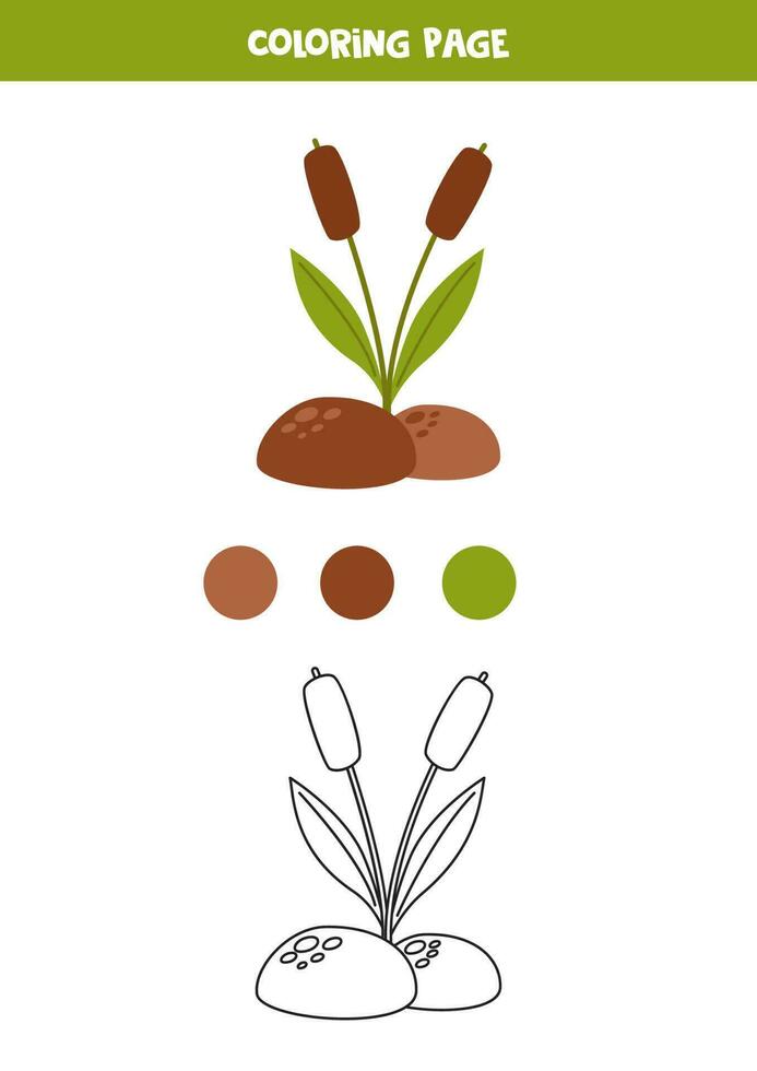 Color cute cartoon cattail herb. Worksheet for kids. vector