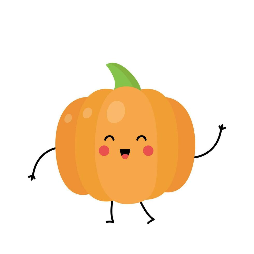 Vector picture of cute pumpkin isolated on white background.