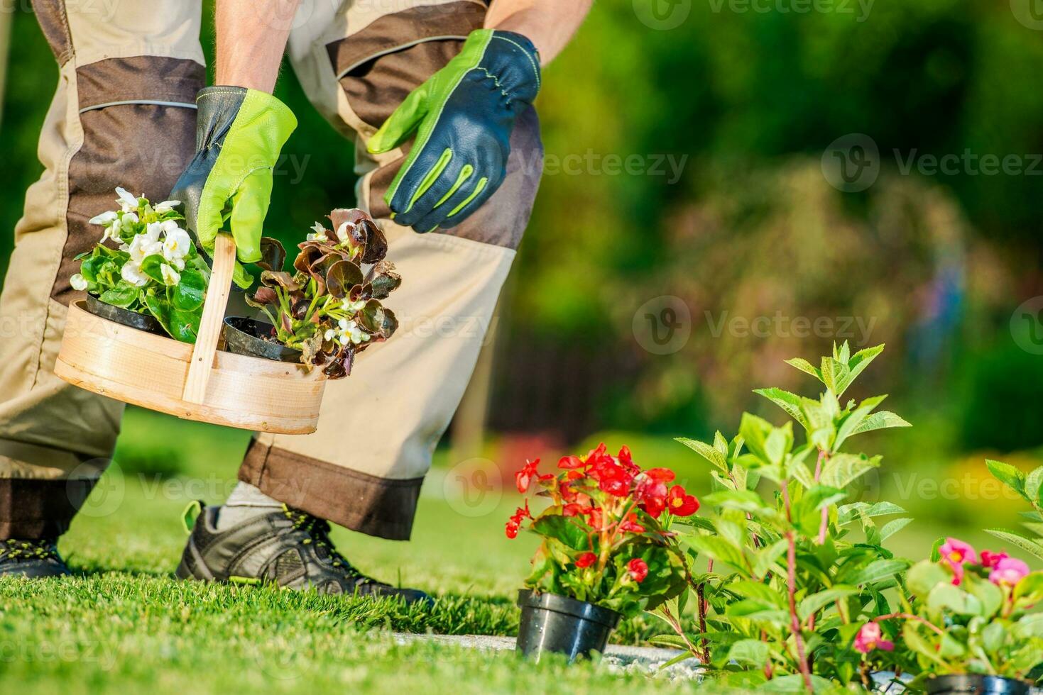 jardín flores plantando foto