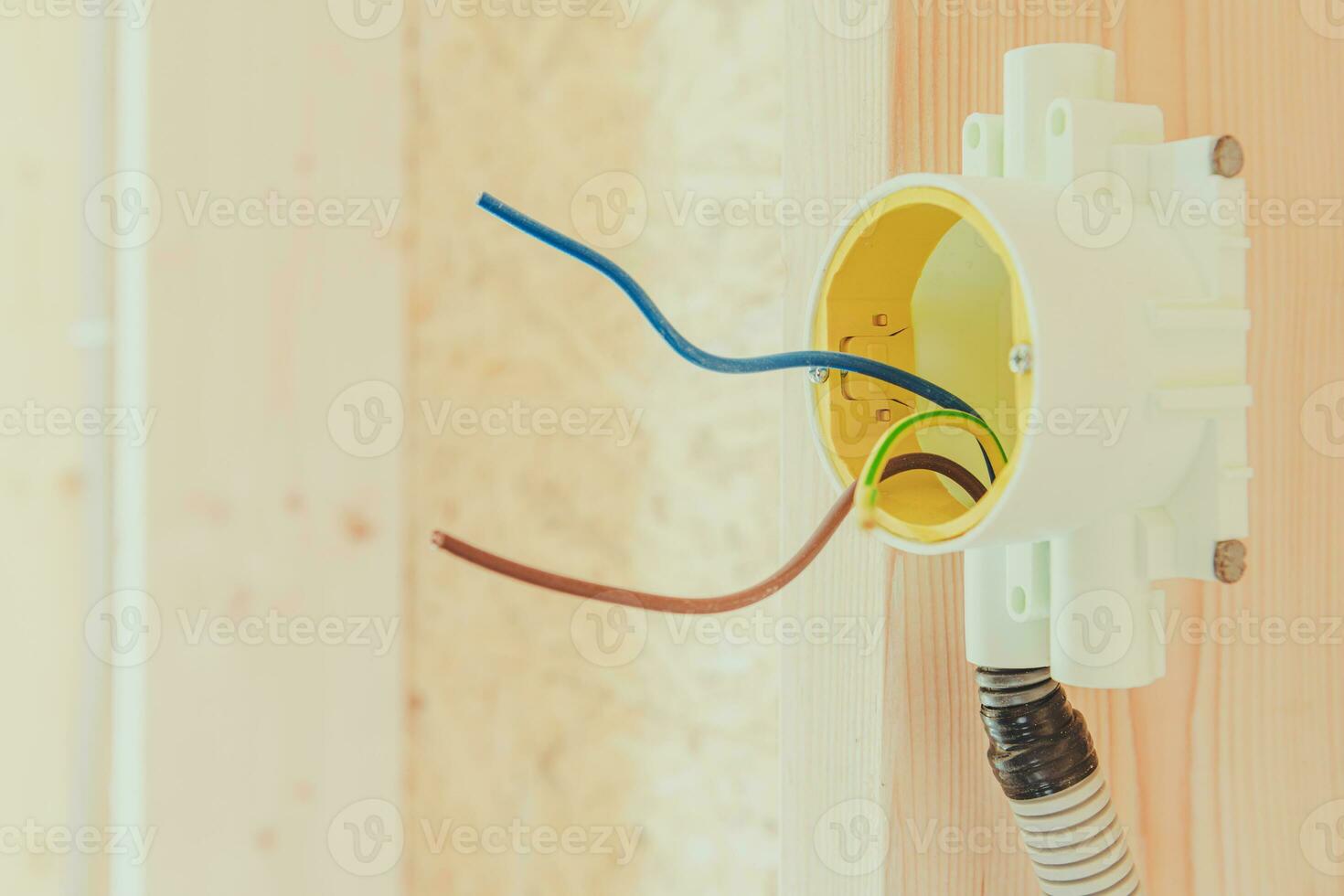Electrical Box And Wiring In New Construction. 24529964 Stock Photo at
