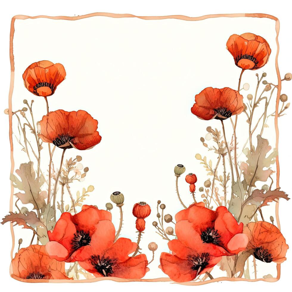 Red watercolor poppy flower frame. Illustration photo