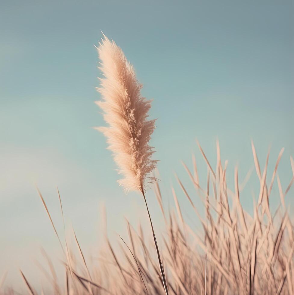 Dried meadow grass bouquet in clear glass bottle aesthetic sun light  shadows on neutral wall, minimalist floral interior design , generate ai  24356589 Stock Photo at Vecteezy