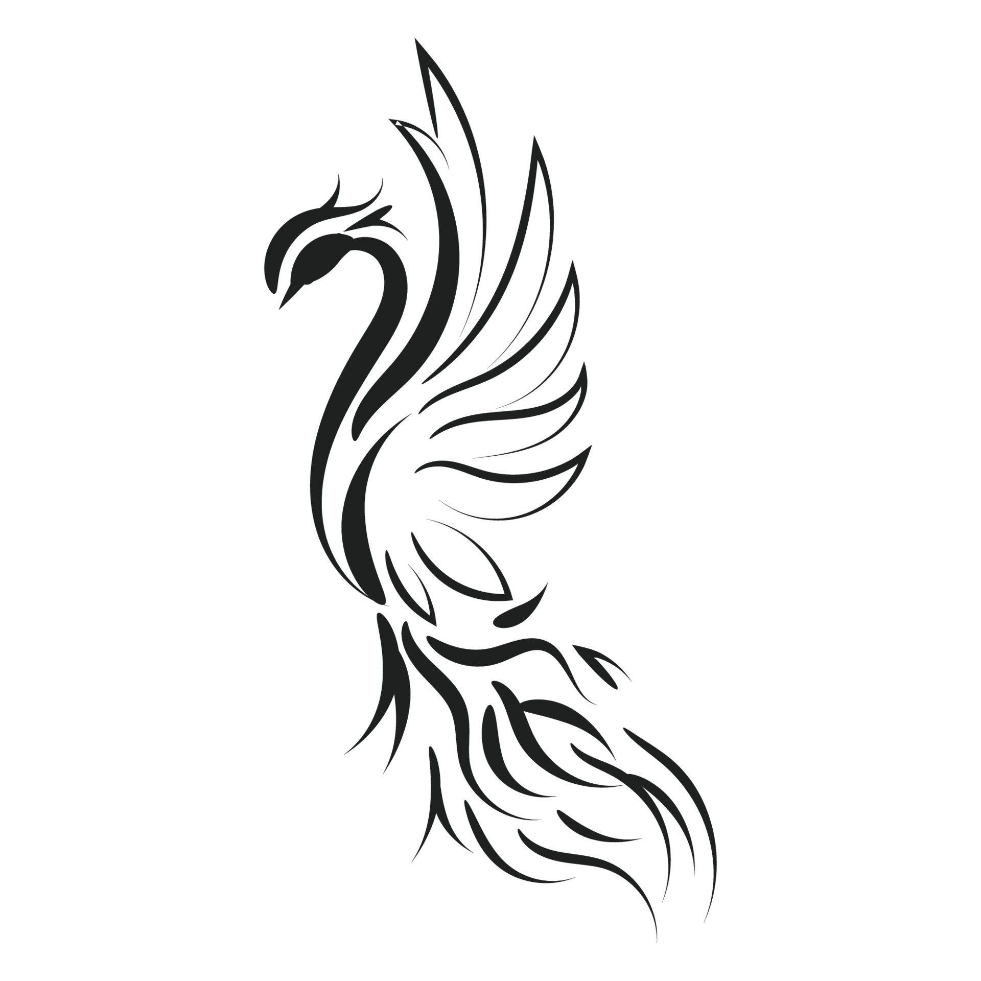 Black and white line art of a phoenix bird with  Stock Illustration  75369136  PIXTA