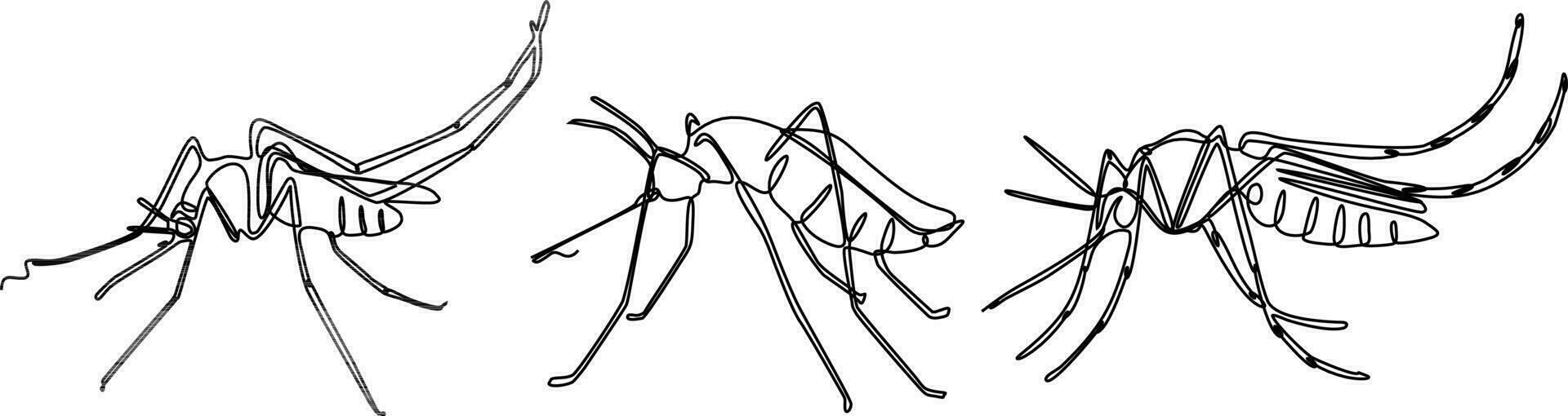 mosquito continuous line set illustration vector