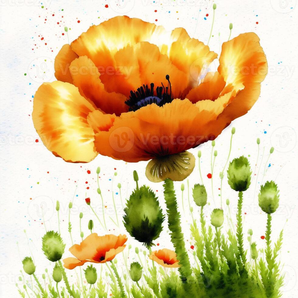 Summer concept. Beautiful watercolor Poppies. A radiant Poppies. Natures Beauty. photo