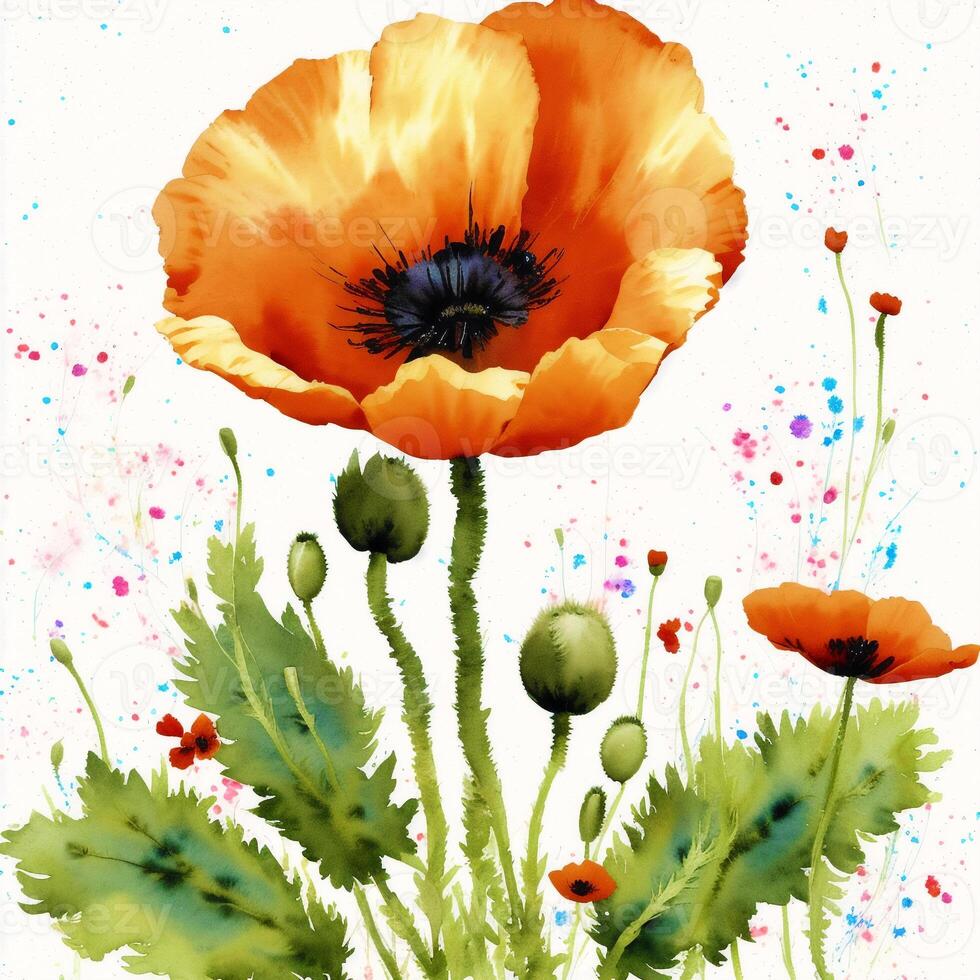Summer concept. Beautiful watercolor Poppies. A radiant Poppies. Natures Beauty. photo