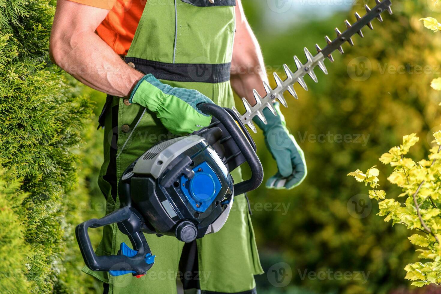 Professional Hedge Trimmer in Hands of Gardener photo