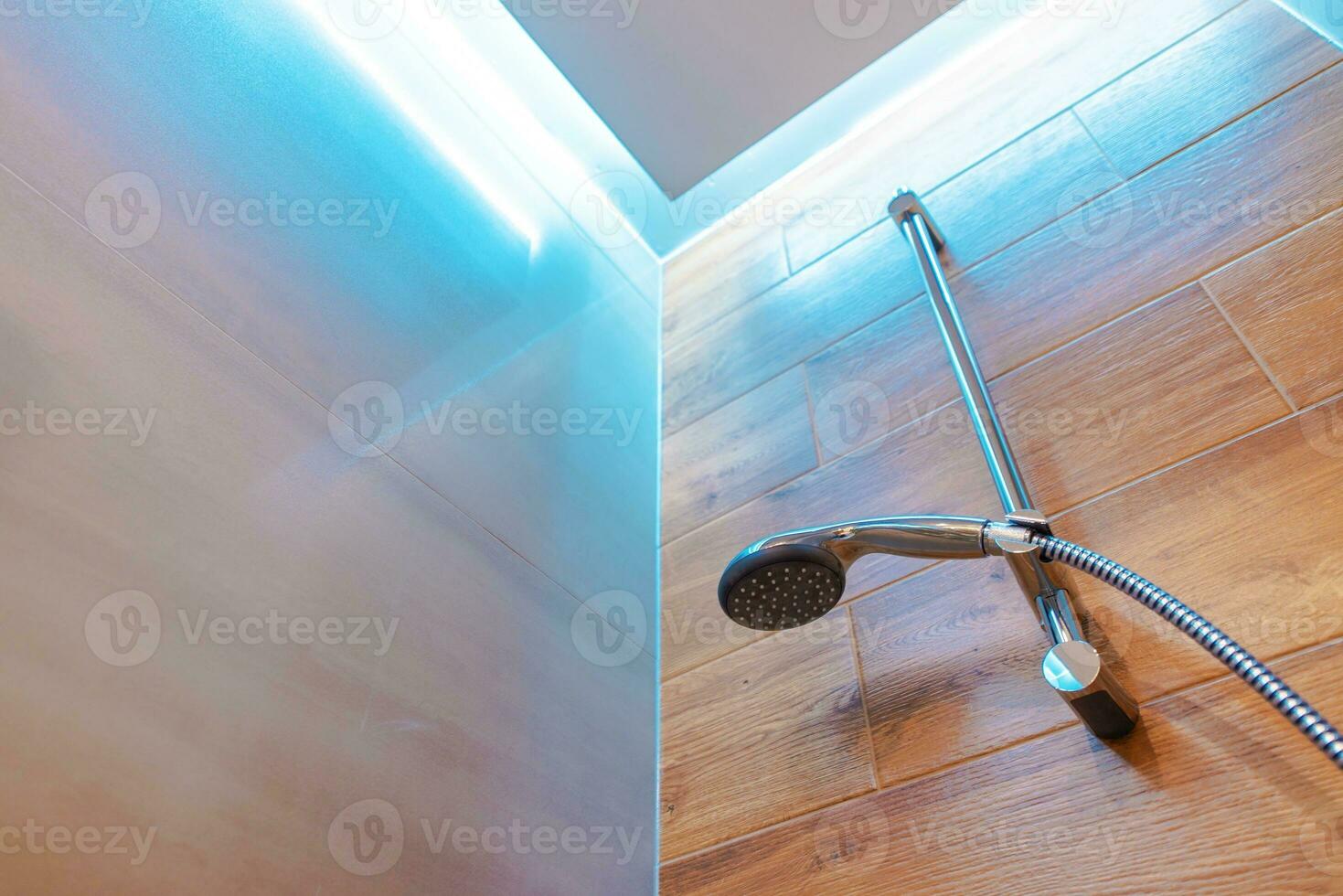 Elegant Open Shower photo