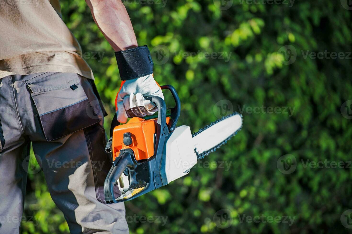 Men with the Chain Saw photo