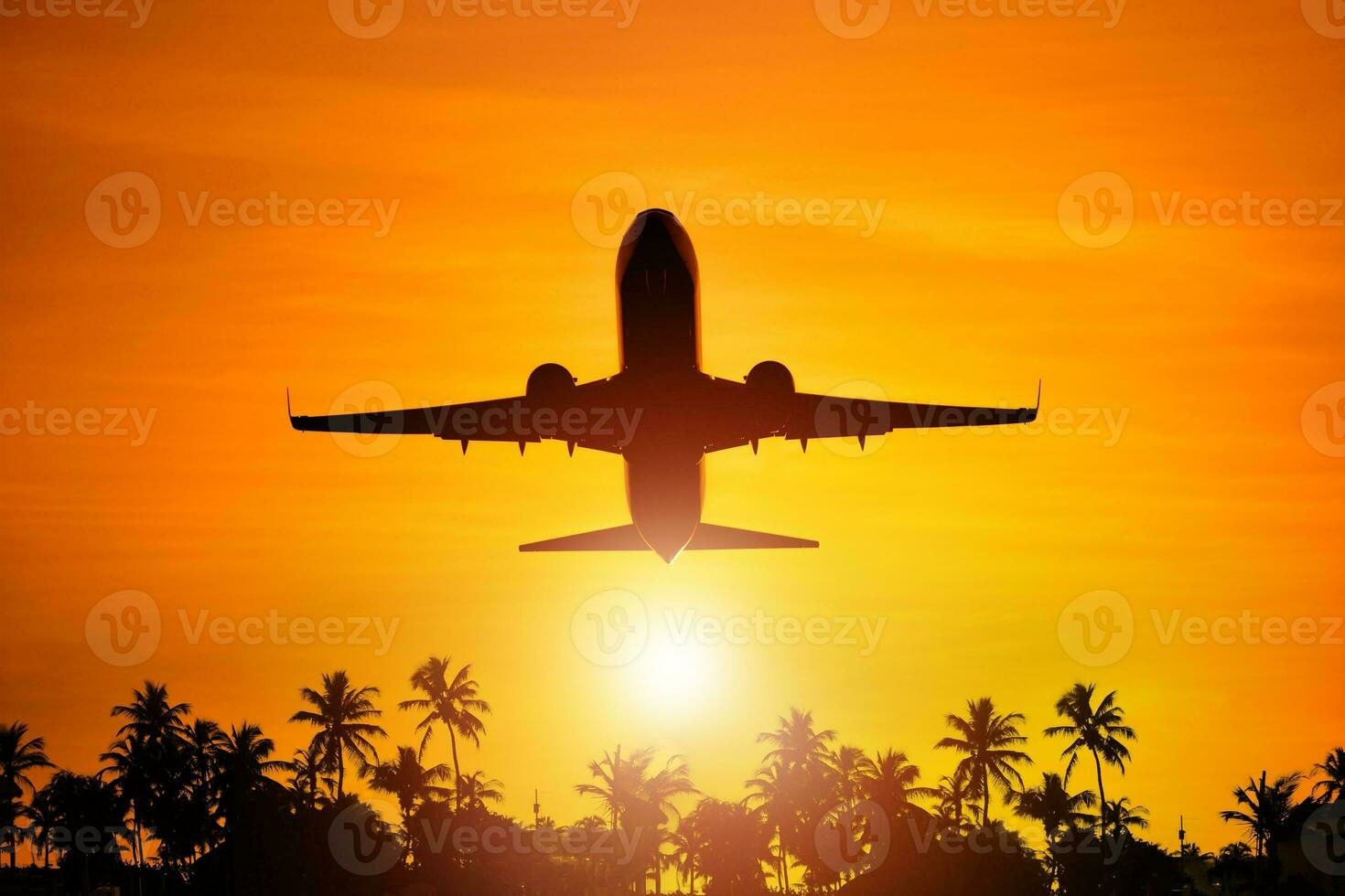 Airplane Flight To Paradise photo