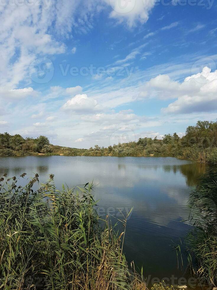 Beautiful lake in a village near a pine forest photo