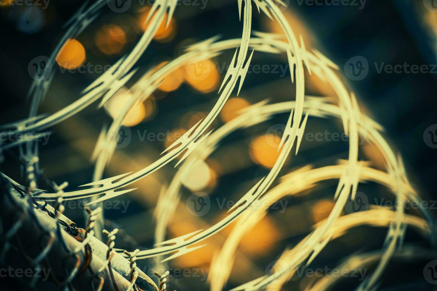 Barbed Wire Fence Closeup photo