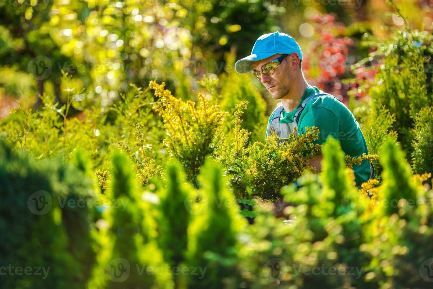 Pro Gardener in the Garden photo