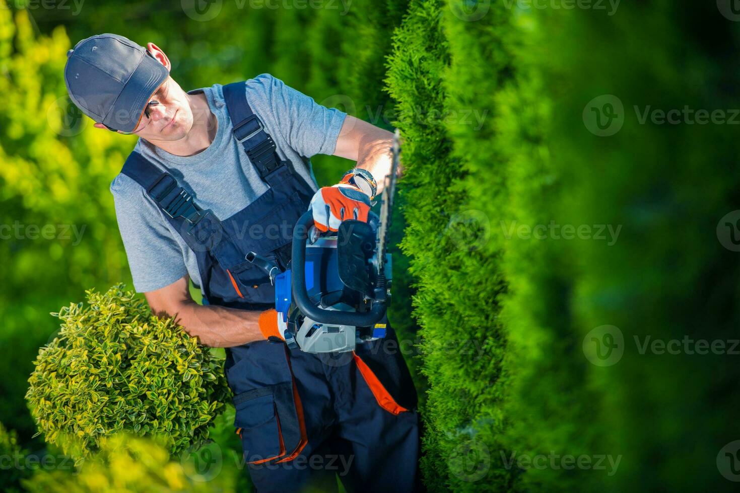 Hedge Trimmer Works photo