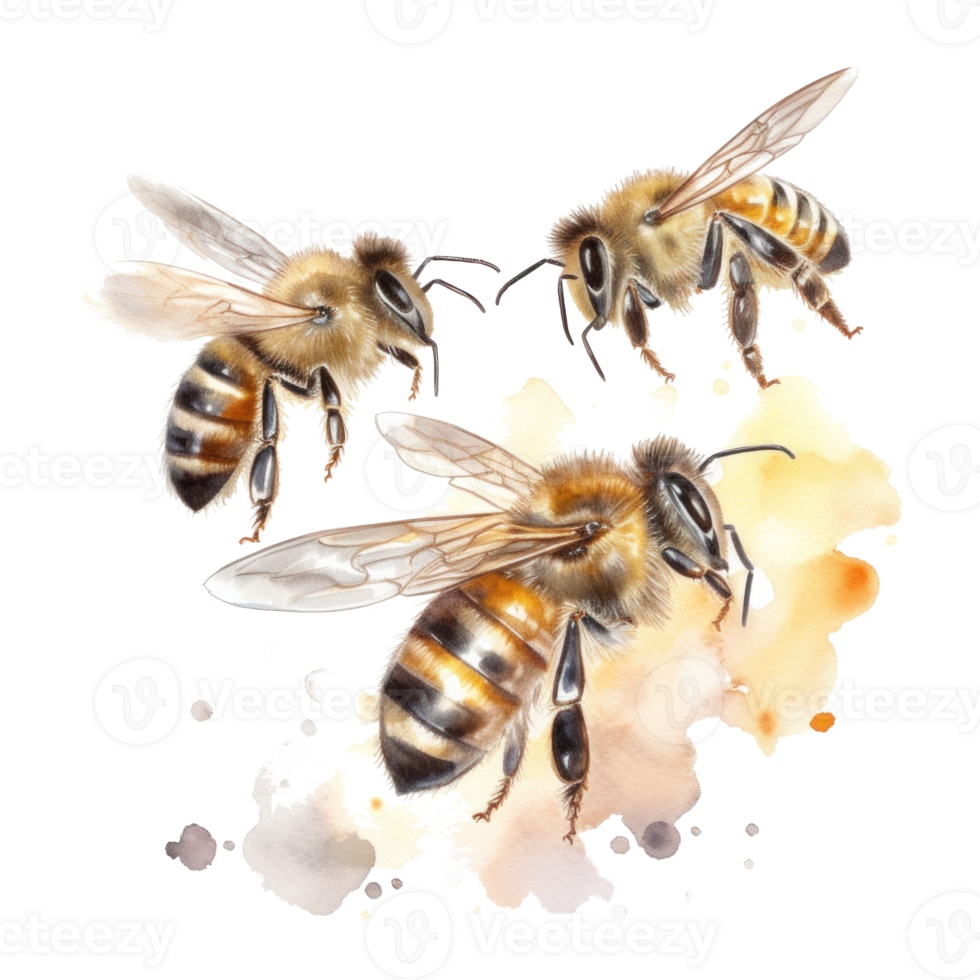 querida abelha isolado. ilustração ai generativo png