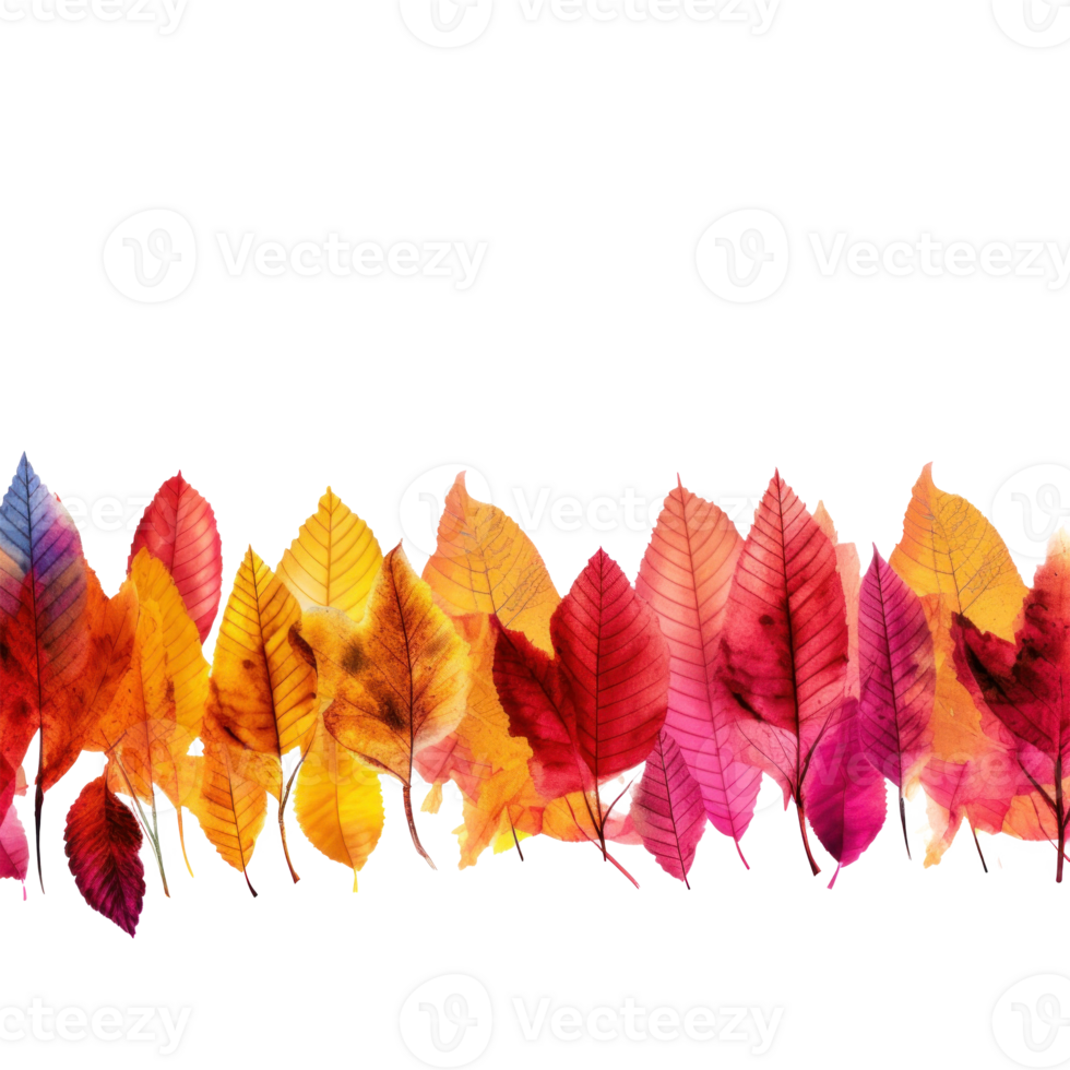 Autumn leaves frame. Illustration png