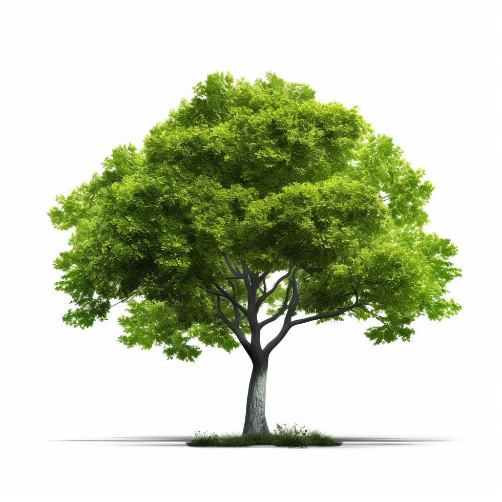 verde árbol aislado. ilustración ai generativo foto