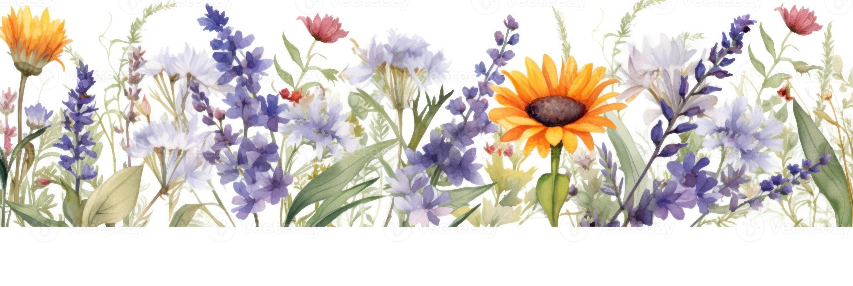 Watercolor floral border. Illustration photo