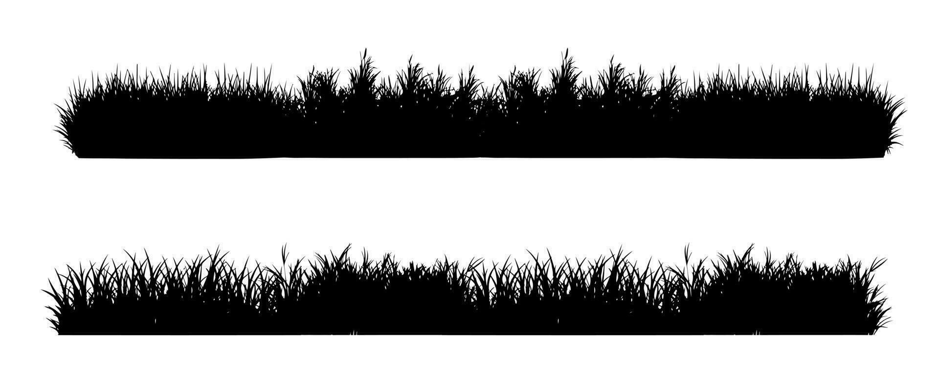 Grass field border isolated on white background. Silhouette garden grass lawn horizontal elements vector illustration