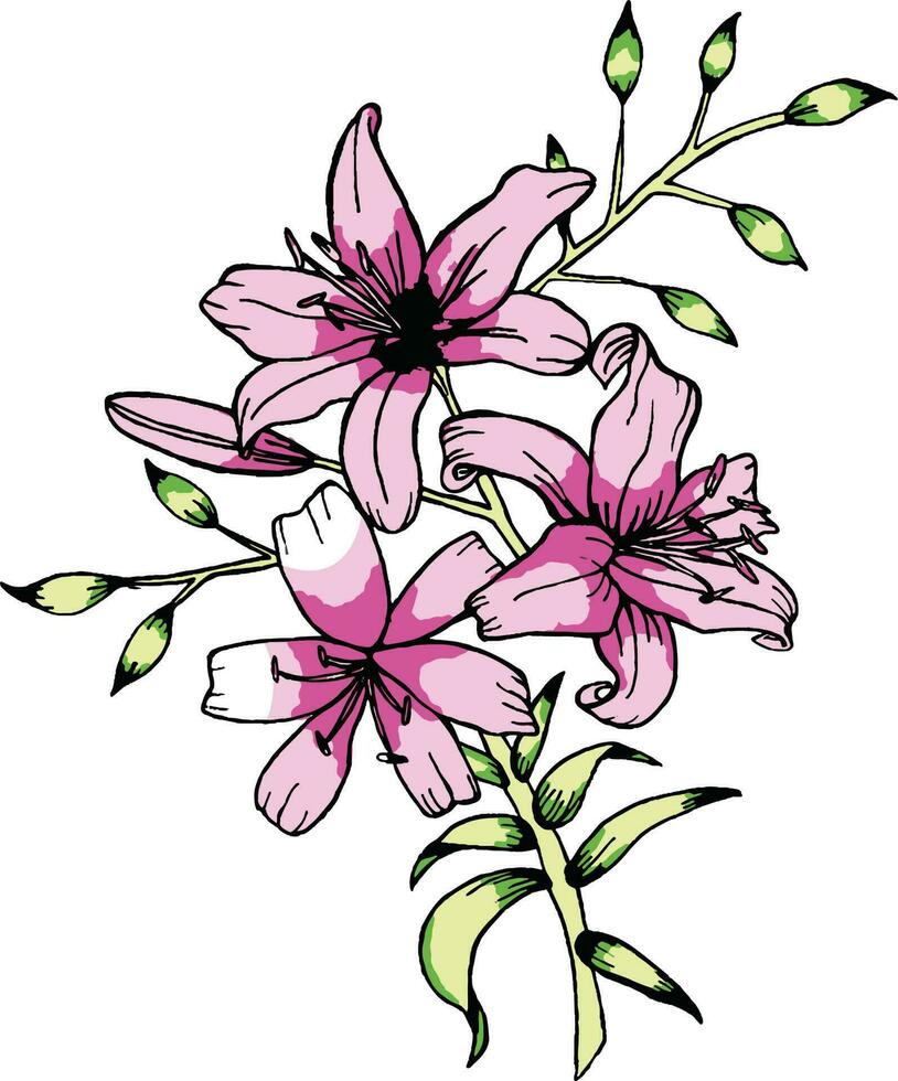 ilustración de flor rosa vector