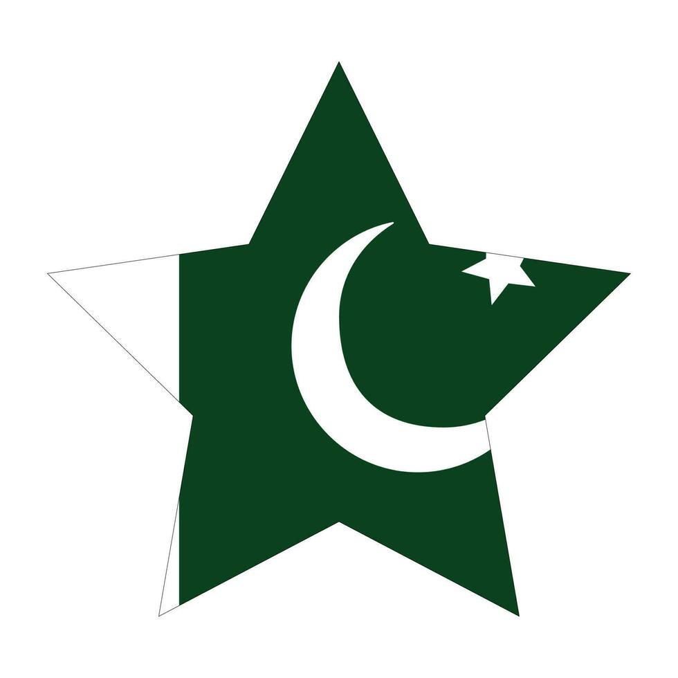 bandera de Pakistán en forma. Pakistán bandera en forma vector