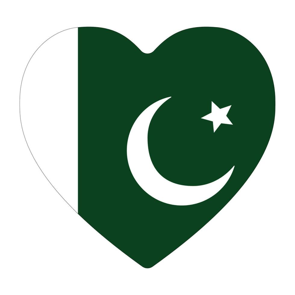 bandera de Pakistán en forma. Pakistán bandera en forma vector