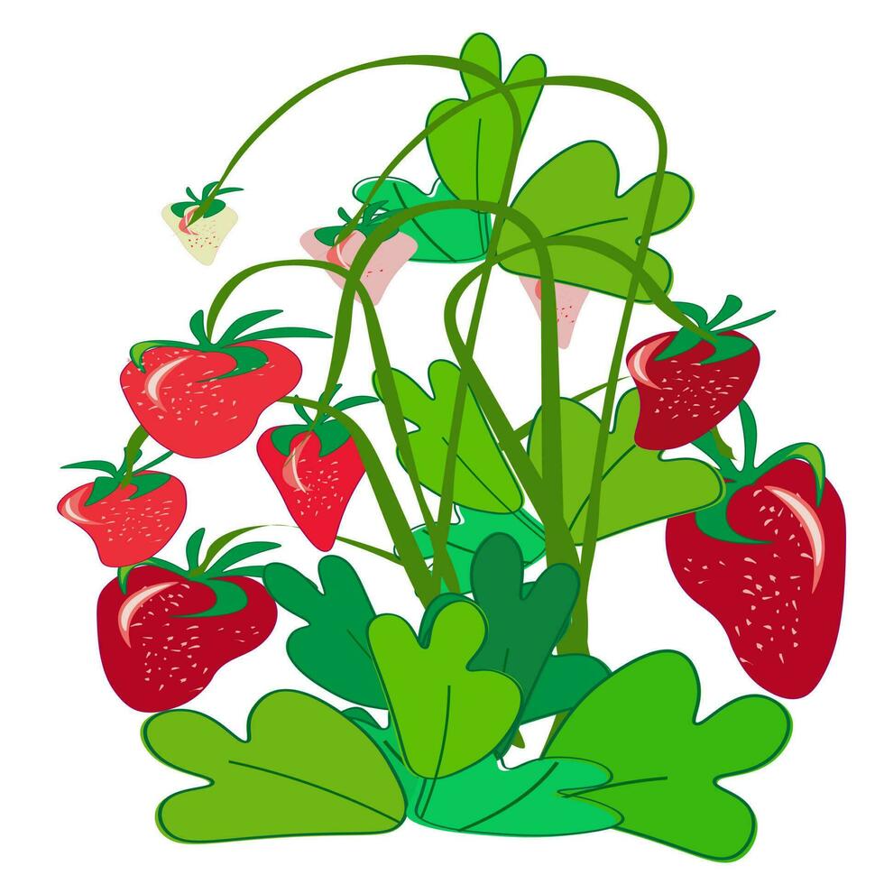 Fresco tropical frutas.a variedad de Fresco frutas y jugos vector ilustración de el vegetariano menú.
