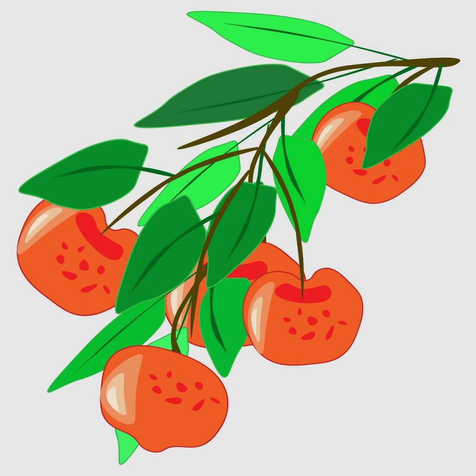 Fresco tropical frutas.a variedad de Fresco frutas y jugos vector ilustración de el vegetariano menú.