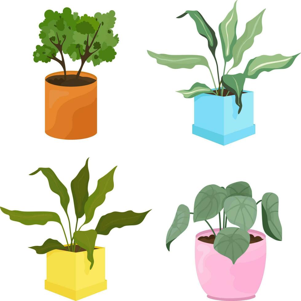 set of potted plants, different plants vector