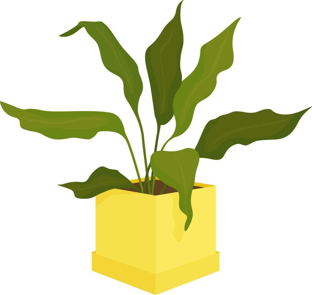 green plant with long leaves in a yellow pot vector