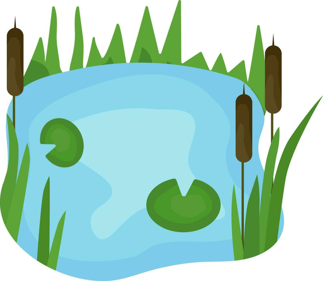swamp, pond, vector illustration, water, sedge, reeds and water lilies float