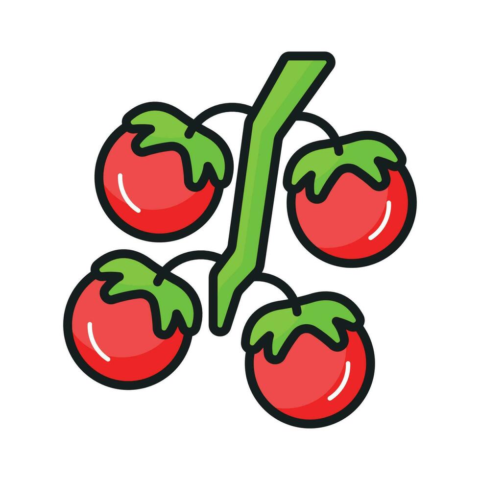 Get hold this captivating icon of tomatoes in modern style, ready to use vector