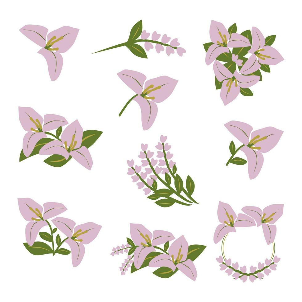 púrpura Bugenvil o buganvilla flor colección colocar. flor acuerdo, ramo de flores flores ornamental, vector ilustración. esta planta además conocido como bunga kembang kertas en Indonesia.