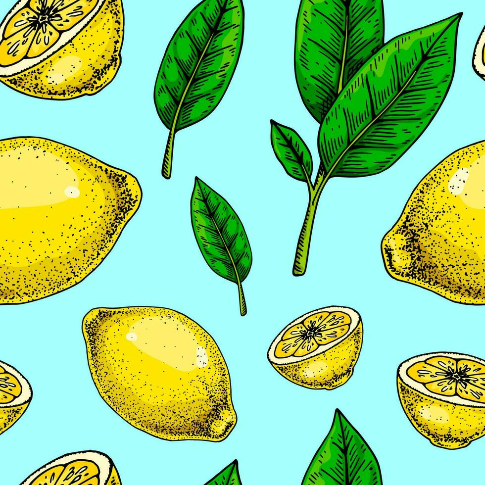 Lemon seamless pattern. Colorful hand drawn vector illustration in sketch style. Tropical exotic citrus fruit summer background