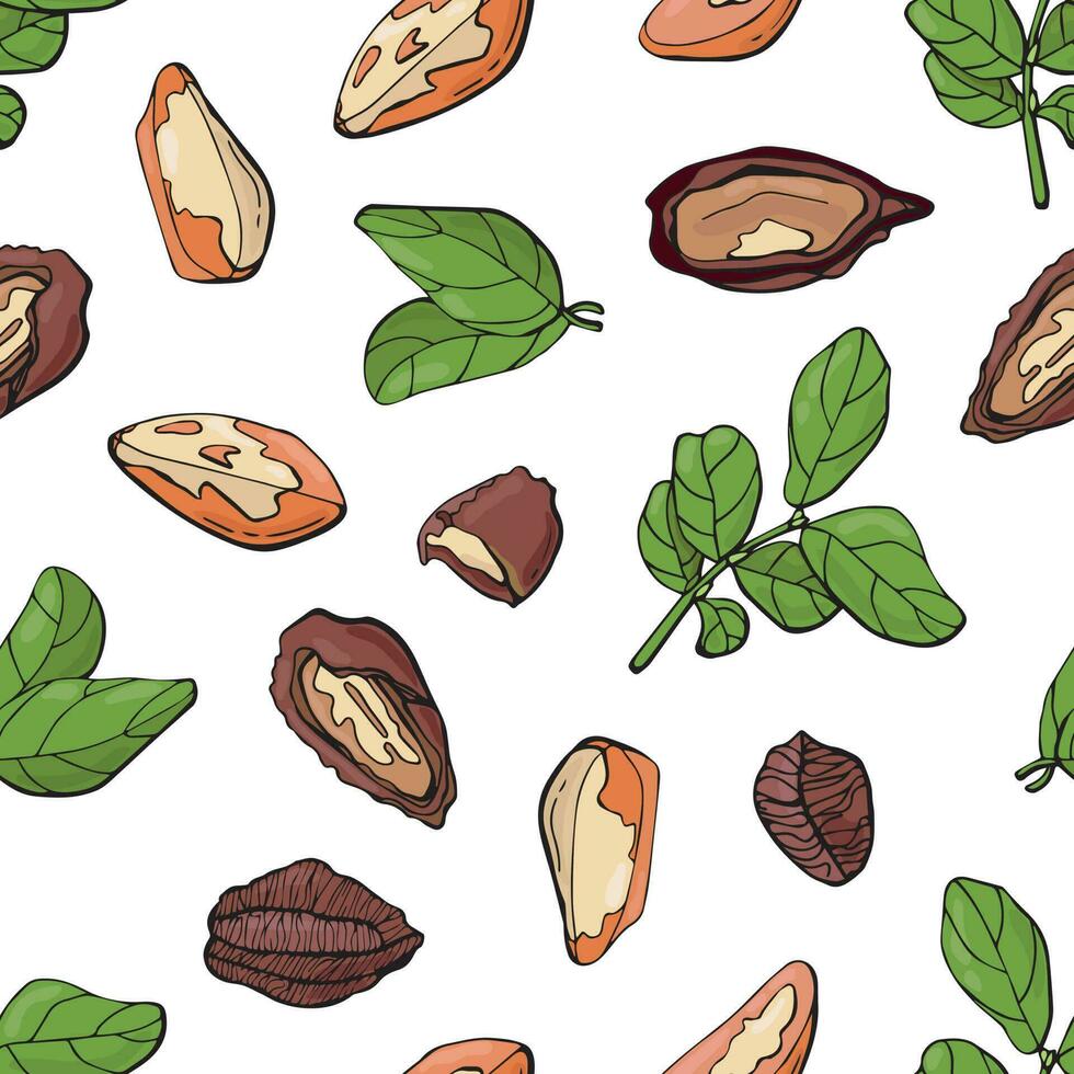 sin costura modelo con Brasil nueces. diseño para tela, textil, fondo de pantalla, embalaje. vector