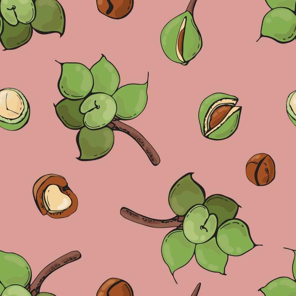 Seamless pattern with macadamia nuts. Design for fabric, textile, wallpaper, packaging. vector