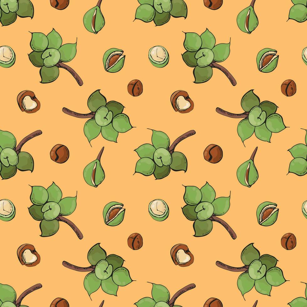 Seamless pattern with macadamia nuts. Design for fabric, textile, wallpaper, packaging. vector