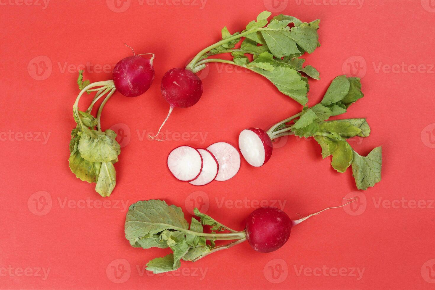Small red radish on red ackground photo