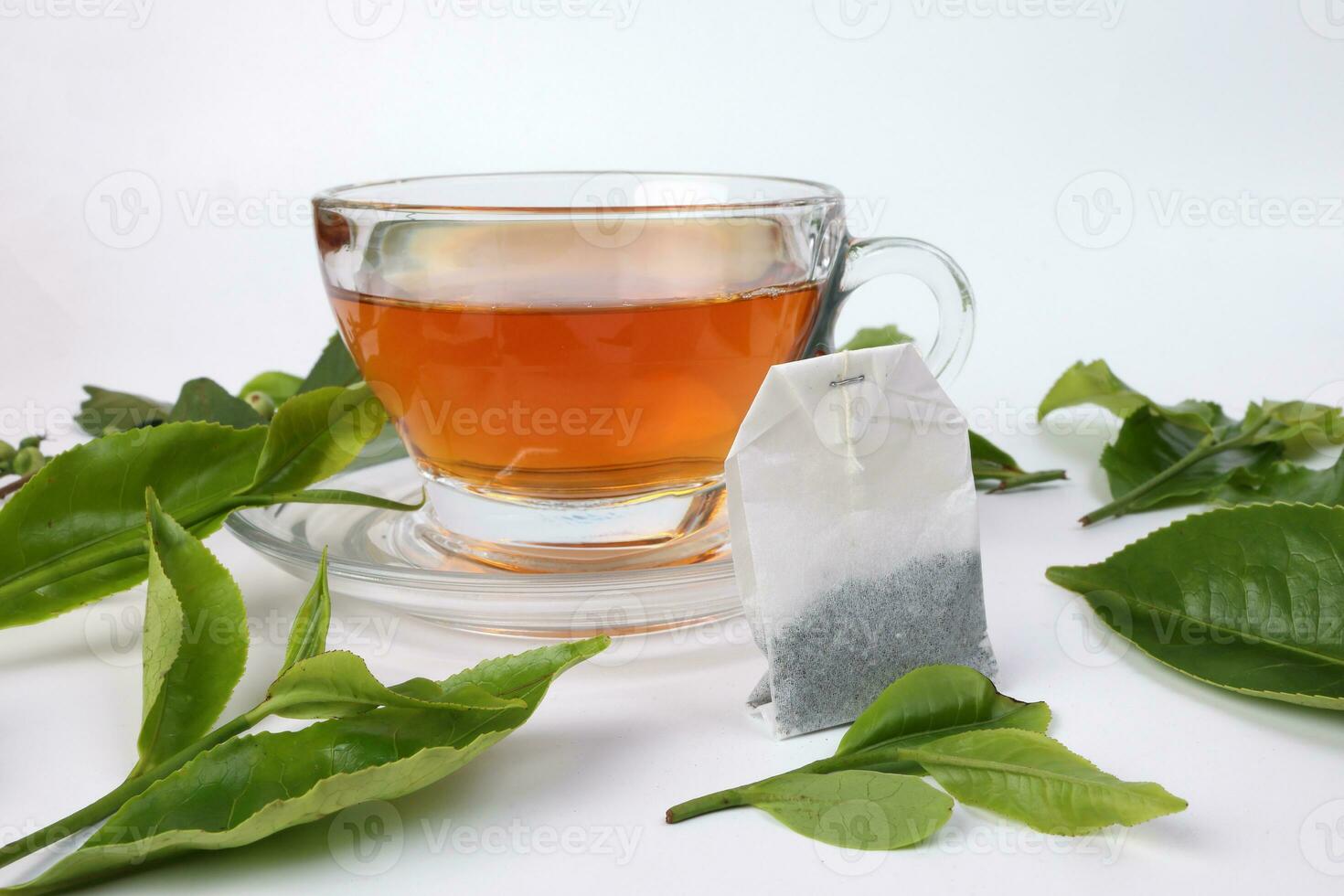 different types of fresh raw green tea leaf flower bud transparent glass teacup liquid tea bag on white background photo