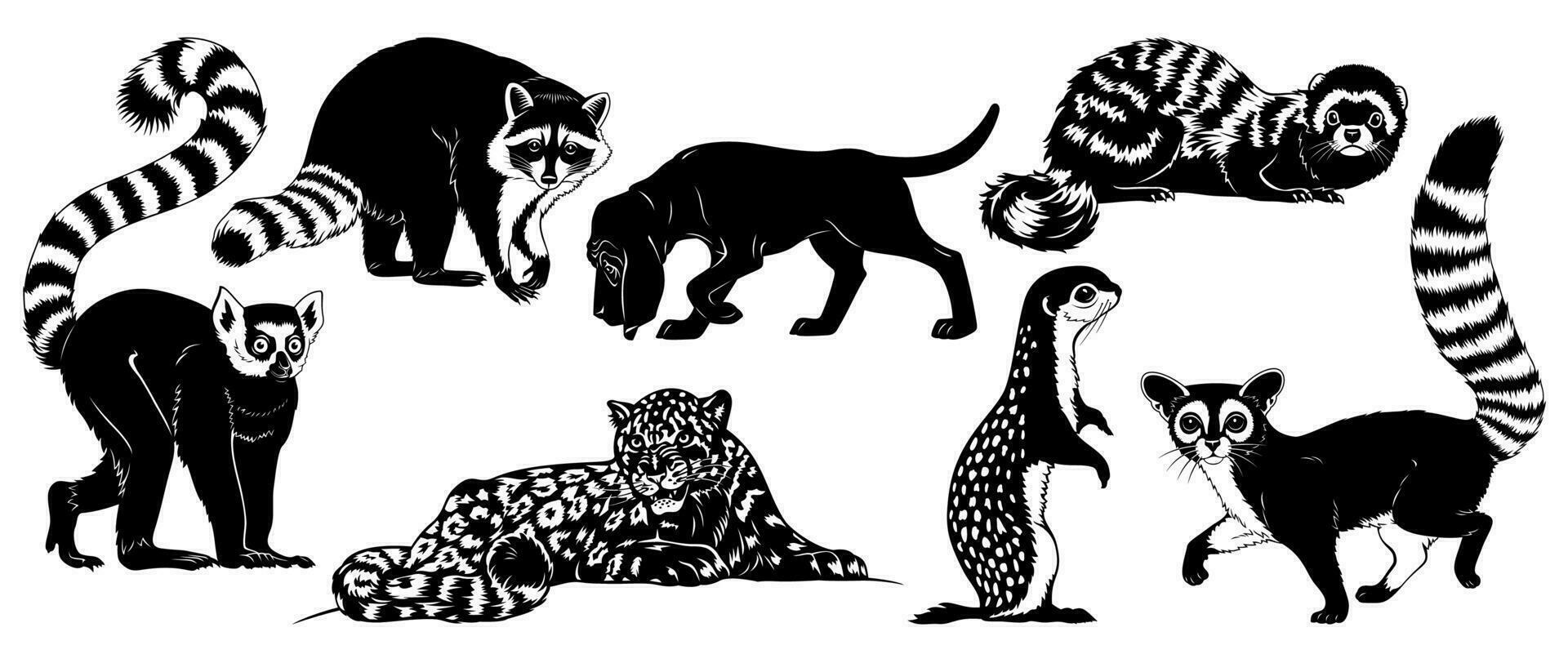 animal siluetas conjunto aislado en blanco. lémur, mapache, sabueso, leopardo, jaspeado hurón, suelo ardilla, cola anillada gato. vector imágenes prediseñadas