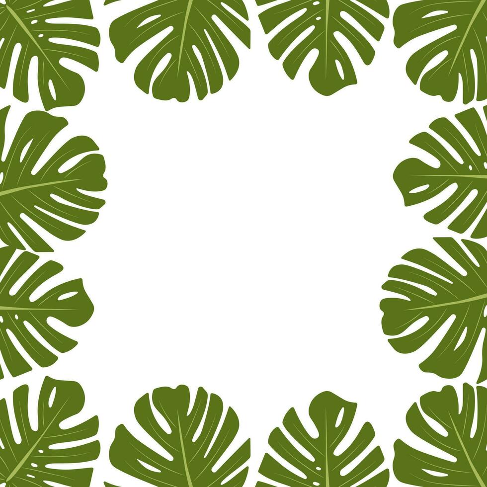 Green Frame with Monstera Leaves vector