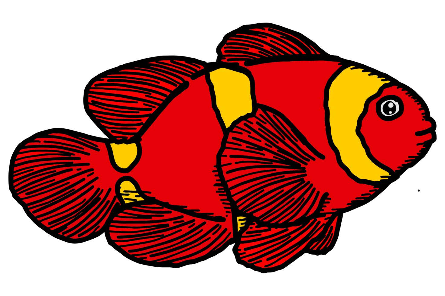 zee dier - clown vis - nemo vis png