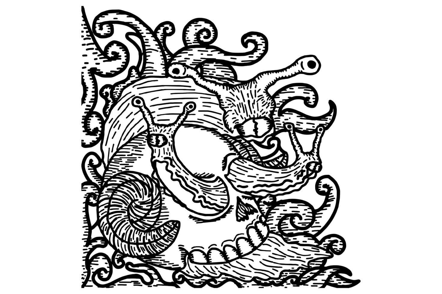 A Snail With Three Heads And A Shell In The Shape Of A DemonSkull Ornament Border Design png