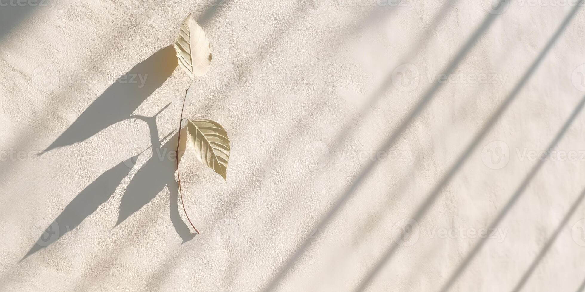 Minimal abstract concrete texture background, neutral colored background wall textured surface with shadow for cosmetic spa health wellness product presentation. illustration photo
