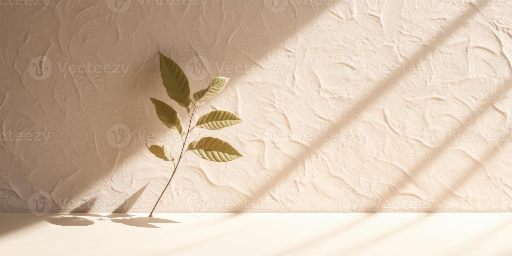 Minimal abstract concrete texture background, neutral colored background wall textured surface with shadow for cosmetic spa health wellness product presentation. illustration photo