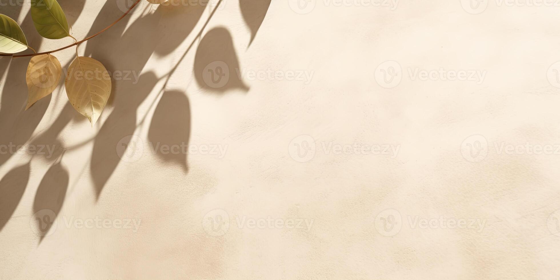 Minimal abstract concrete texture background, neutral colored background wall textured surface with shadow for cosmetic spa health wellness product presentation. illustration photo