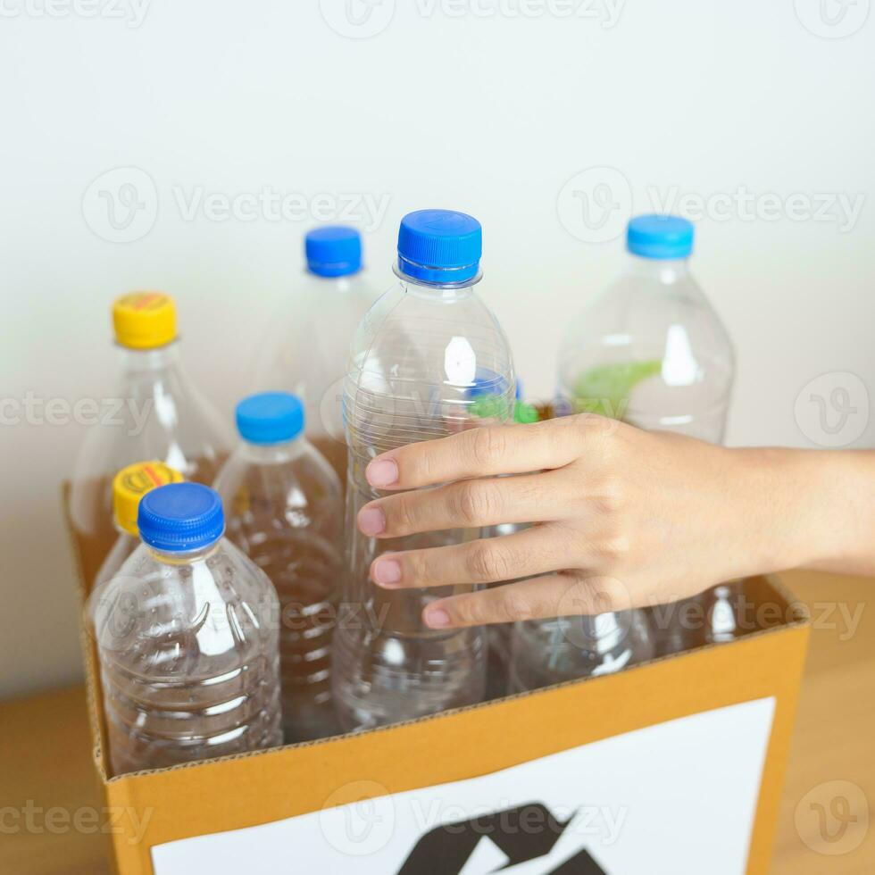 Volunteer keep plastic bottle into paper box at home or office. Hand Sorting Recycle garbage. Ecology, Environmental, pollution, Dispose recycling, waste management and trash Separation concept photo